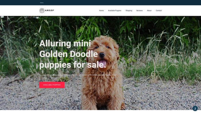 Alluringminigoldendoodlepuppies.com - Golden Doodle Puppy Scam Review