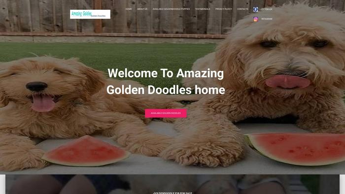 Amagoldendoodleparadise.com - Golden Doodle Puppy Scam Review