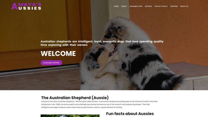 Amayasaussies.com - Australian Shepherd Puppy Scam Review