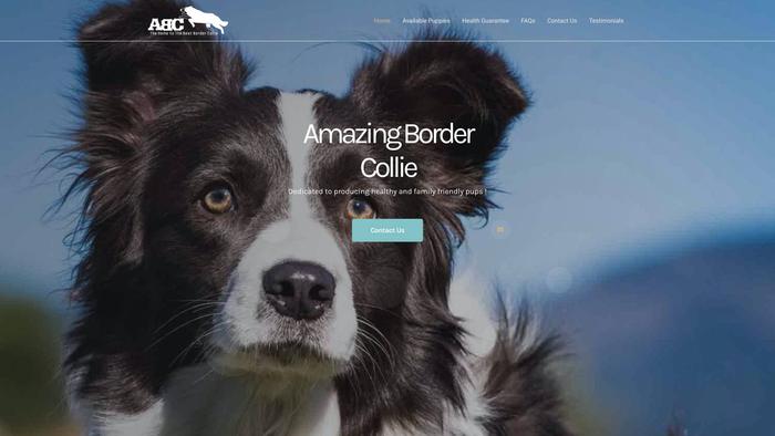 Amazingbordercollie4home.com - Bordercollie Puppy Scam Review