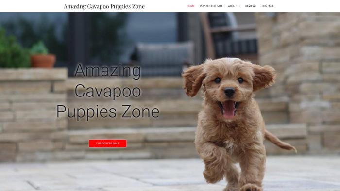 Amazingcavapoopupszone.com - Cavapoo Puppy Scam Review