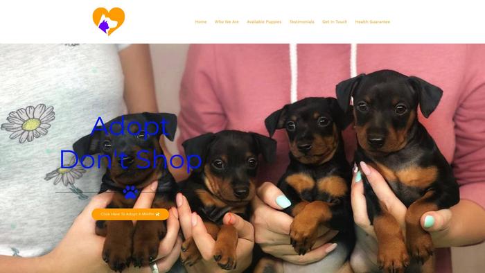 Amazingminiaturepinscherspuppieshome.com - Doberman Pinscher Puppy Scam Review