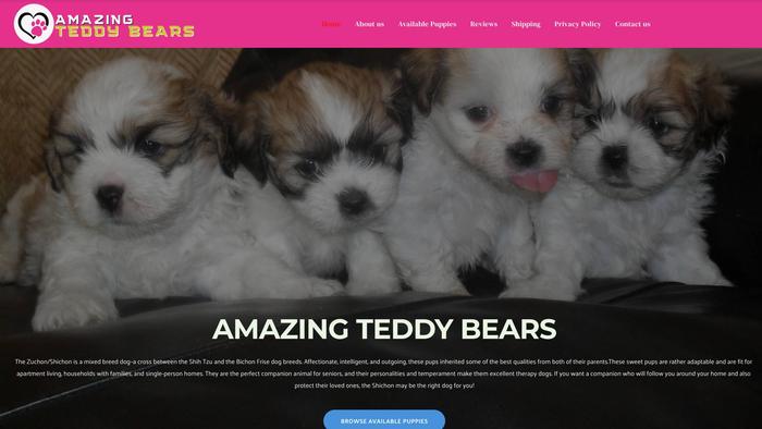 Amazingteddybears.com - Shihtzu Puppy Scam Review