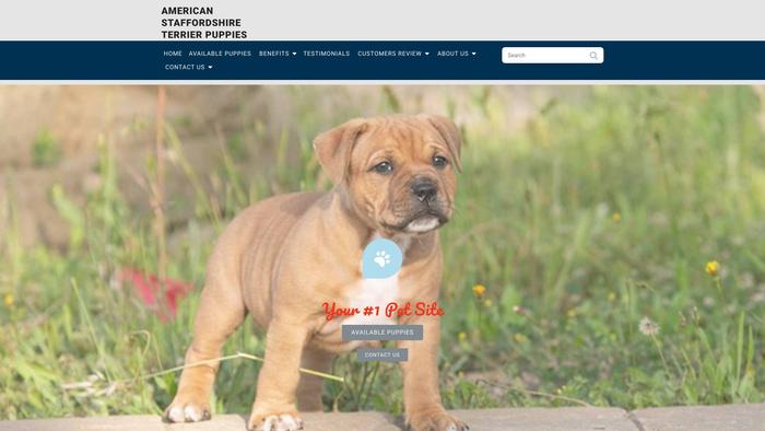 Americanstaffyshireterrier.com - Terrier Puppy Scam Review