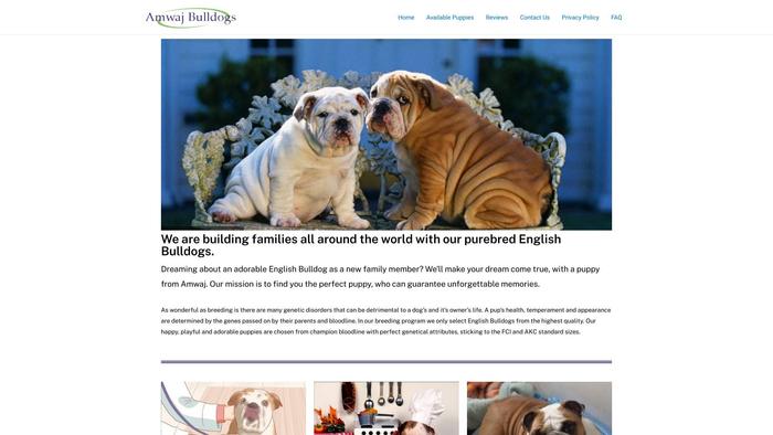 Amwajbulldogs.com - English Bulldog Puppy Scam Review