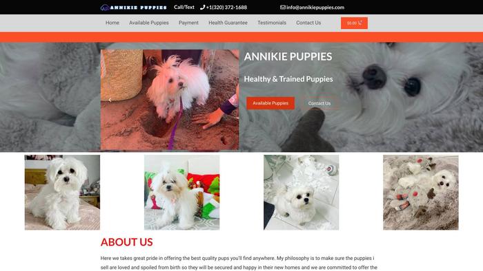 Annikiepuppies.com - Maltese Puppy Scam Review