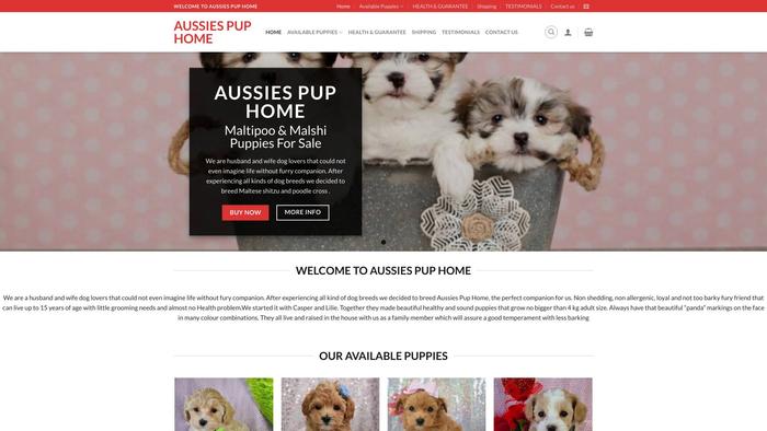 Aussiespuphome.com - Australian Shepherd Puppy Scam Review