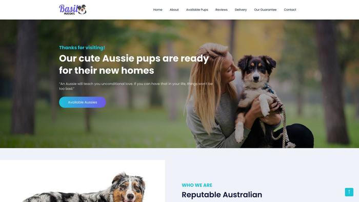 Basilaussies.com - Australian Shepherd Puppy Scam Review