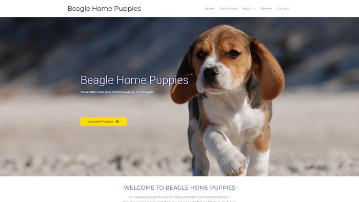 Beaglehomepuppies.com - Beagle Puppy Scam Review