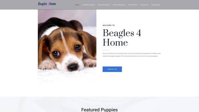 Beagles4home.com - Beagle Puppy Scam Review