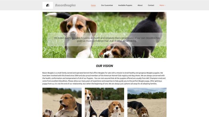 Beasonbeagles.com - Beagle Puppy Scam Review