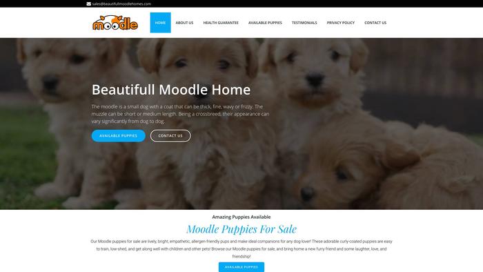 Beautifullmoodlehomes.com - Maltese Puppy Scam Review