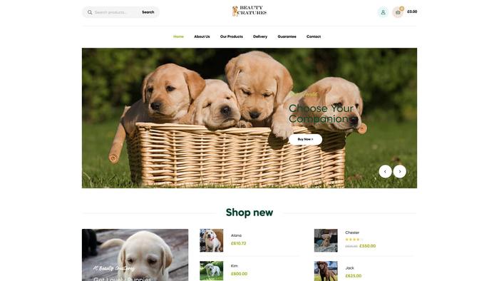 Beauty-creatures.com - Golden Retriever Puppy Scam Review