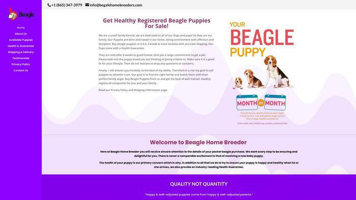 Begalehomebreeders.com - Beagle Puppy Scam Review