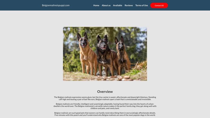 Belgianmalinoispuppi.com - Germanshepherd Puppy Scam Review