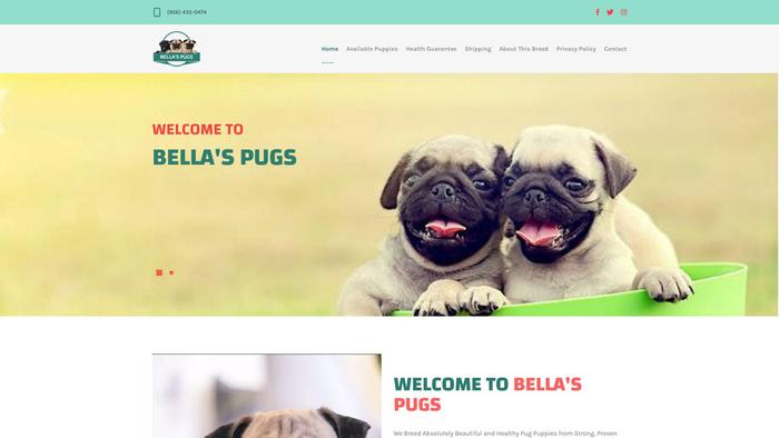 Bellaspugs.site - Pug Puppy Scam Review