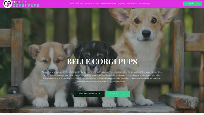 Bellecorgipups.com - Corgi Puppy Scam Review