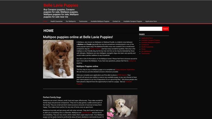 Bellepuppies.com - Maltipoo Puppy Scam Review