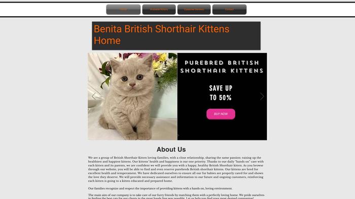 Benitabritishshorthairkittenshome.com - British Shorthair Puppy Scam Review