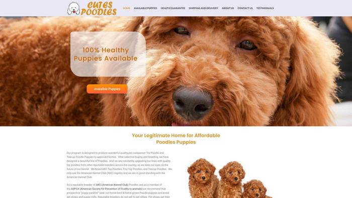 Benteacuppoodles.com - Poodle Puppy Scam Review