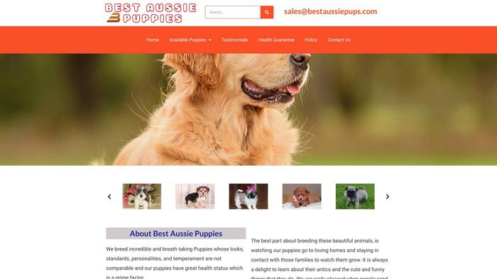 Bestaussiepups.com - Australian Shepherd Puppy Scam Review