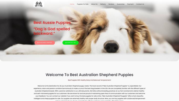 Bestaustralianshepherdpuppies.com - Australian Shepherd Puppy Scam Review