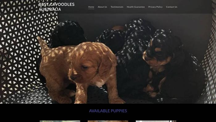 Bestcavoodles.net - Cavapoo Puppy Scam Review