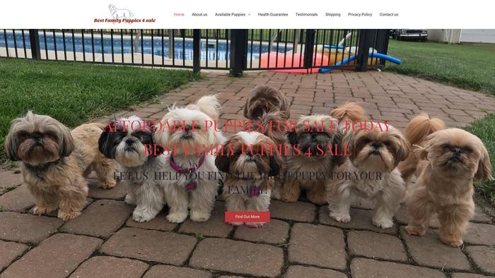 Bestfamilypuppies4sale.com - Husky Puppy Scam Review