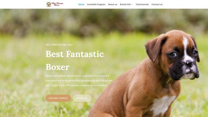 Bestfantasticboxer.com - Boxer Puppy Scam Review