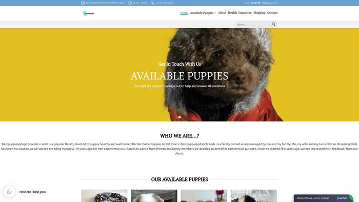 Bestpuppiesadopt.com - Husky Puppy Scam Review