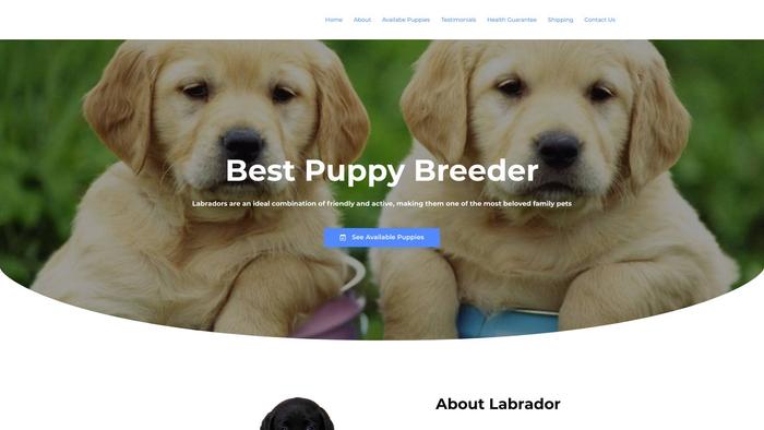 Bestpuppybreeder.online - Labrador Puppy Scam Review