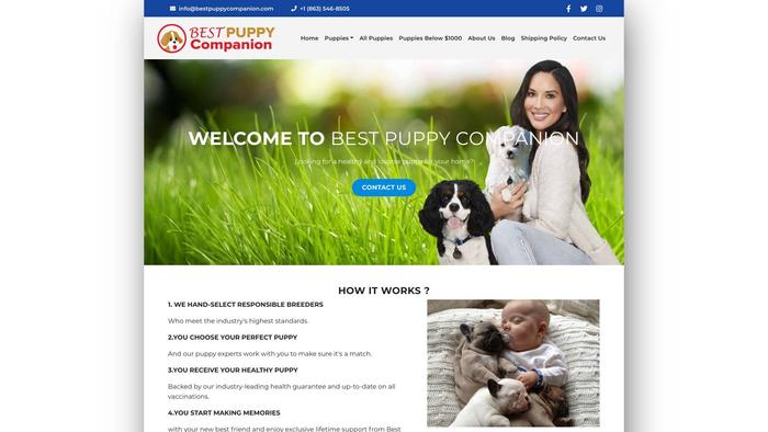 Bestpuppycompanion.com - Cavapoo Puppy Scam Review