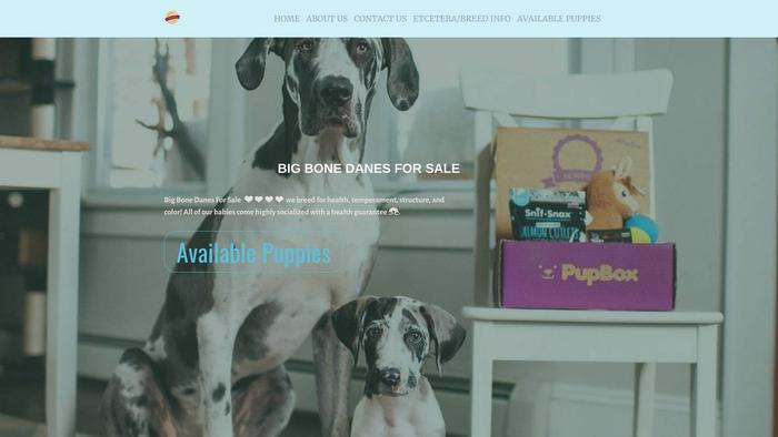 Bigbonedanesforsale.com - Great Dane Puppy Scam Review