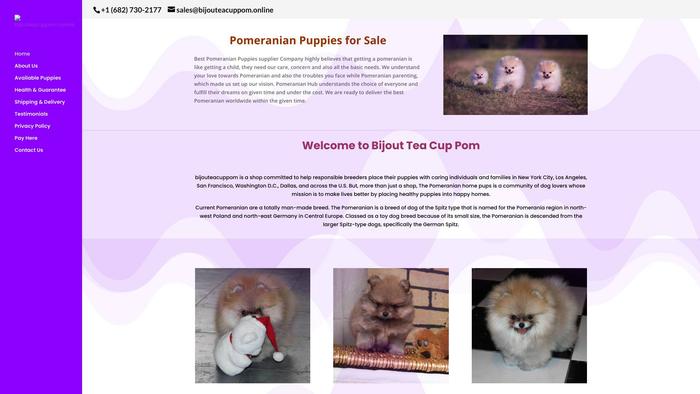 Bijouteacuppom.online - Yorkshire Terrier Puppy Scam Review