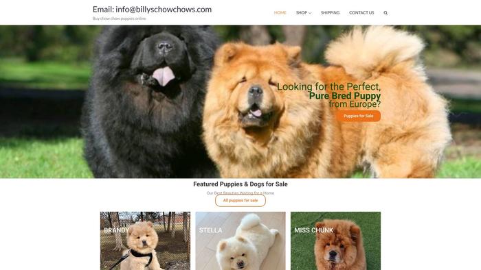 Billyschowchows.com - Chowchow Puppy Scam Review