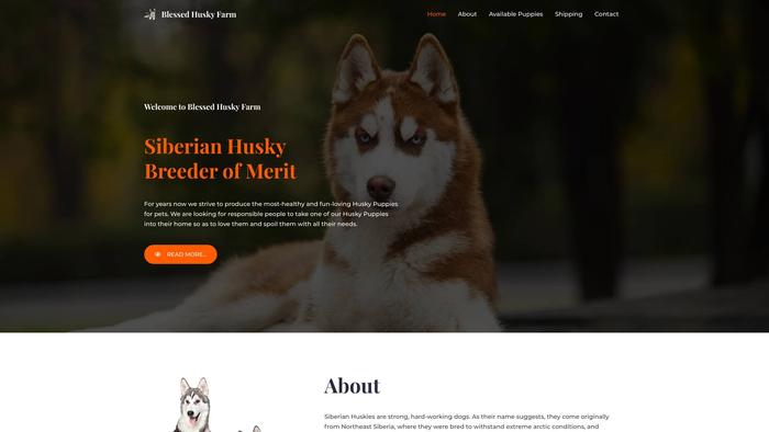 Blessedhuskyfarm.com - Husky Puppy Scam Review