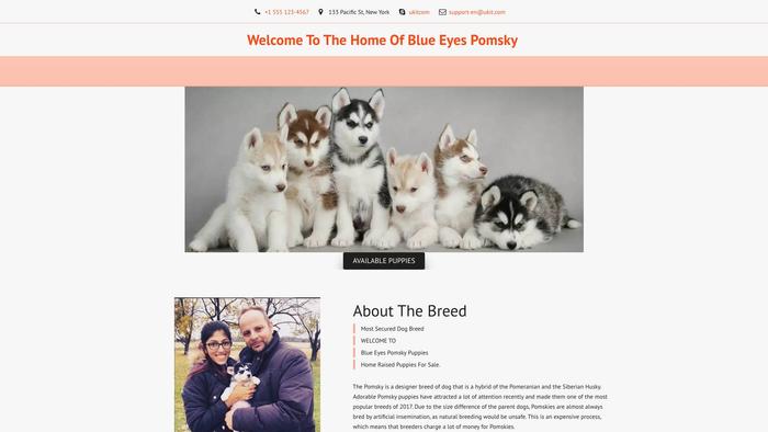 Blueeyesspomsky.com - Pomeranian Puppy Scam Review