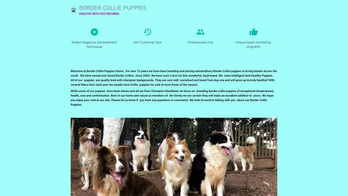 Bordercolliepuppies.net - Bordercollie Puppy Scam Review