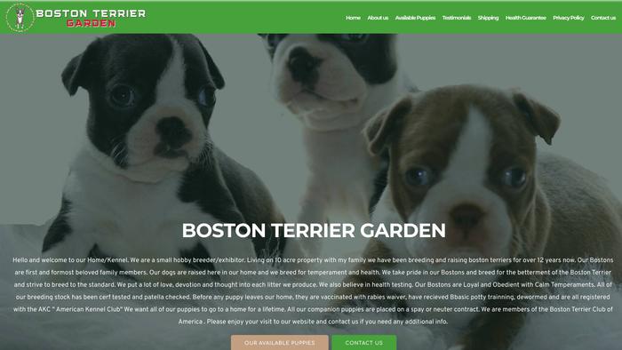 Bostonterriergarden.com - Terrier Puppy Scam Review