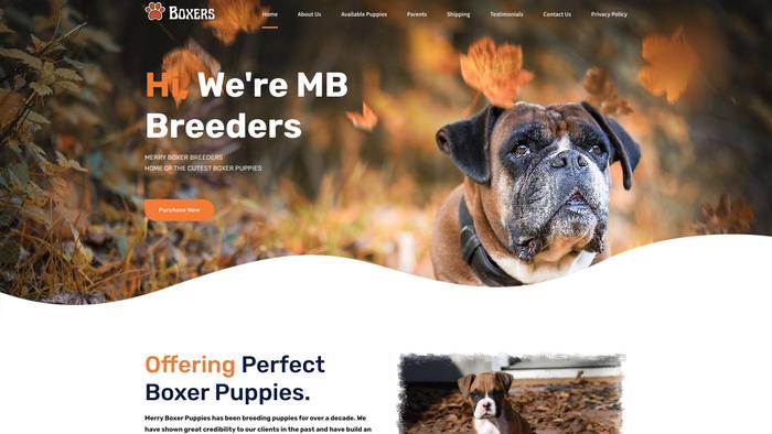 Boxerpuppieschamps.info - Boxer Puppy Scam Review