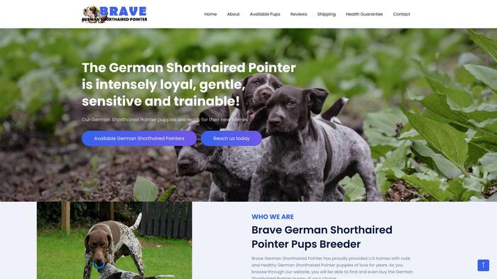 Bravegermanshorthairedpointer.com - British Shorthair Puppy Scam Review