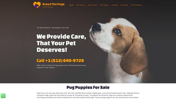 Breedthepugs.com - Pug Puppy Scam Review