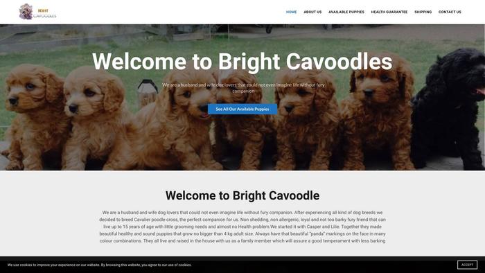 Brightcavoodlesau.com - Cavapoo Puppy Scam Review