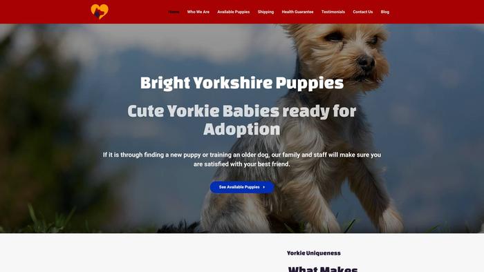 Brightyorkshirepuppieshome.com - Yorkshire Terrier Puppy Scam Review