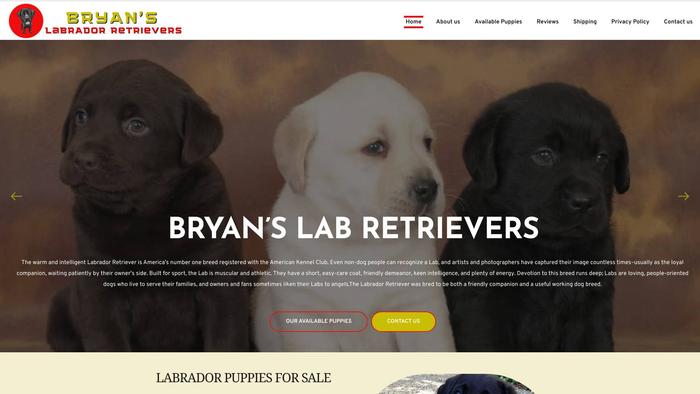 Bryanslabretrievers.com - Golden Retriever Puppy Scam Review