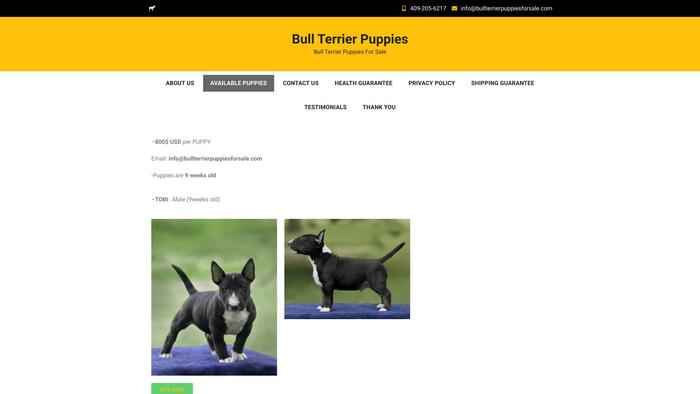 Bullterrierpuppiesforsale.com - Terrier Puppy Scam Review