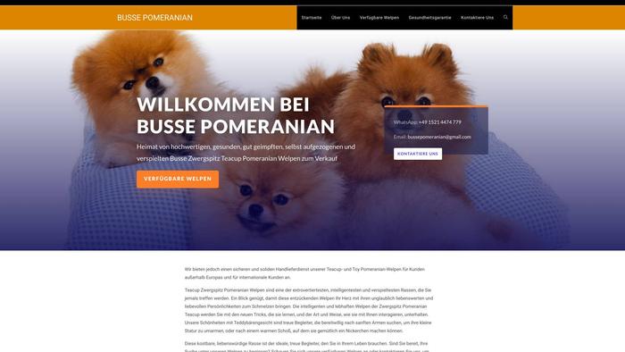 Busse-pomeranian.com - Pomeranian Puppy Scam Review