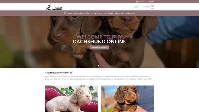 Buydachshundonline.com - Dachshund Puppy Scam Review