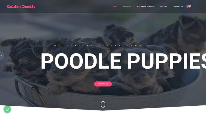 Buygoldendoodlepoodle.com - Poodle Puppy Scam Review