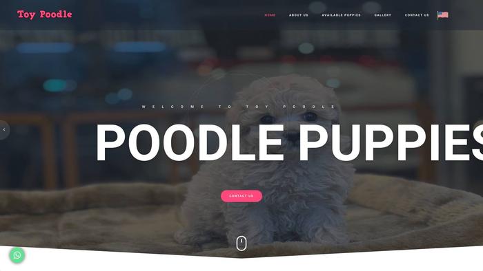 Buytoypoodle.com - Poodle Puppy Scam Review